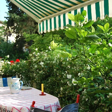 Le Ortensie Florenz